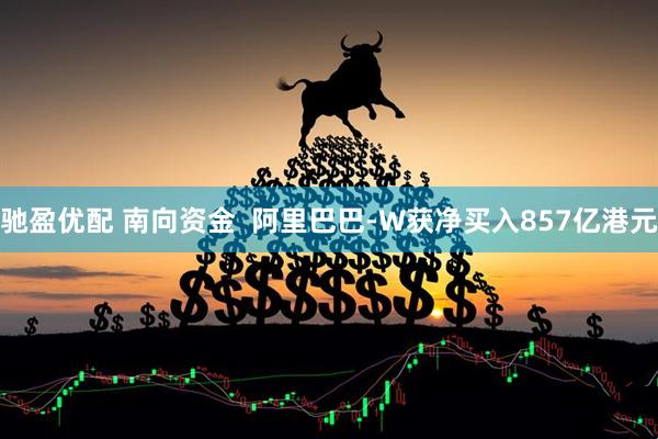 驰盈优配 南向资金  阿里巴巴-W获净买入857亿港元